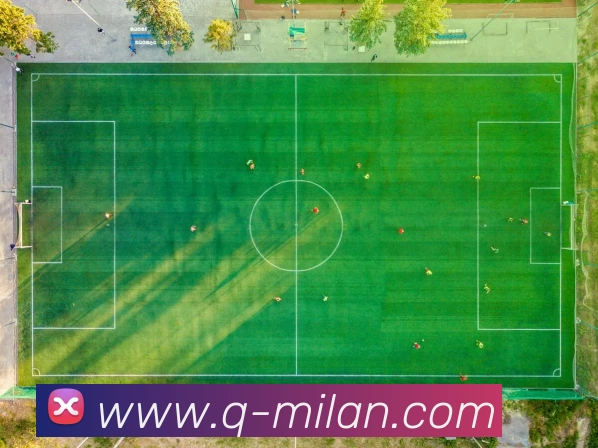App Interface Preview